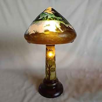 61IXOTrruyL._AC_UF350,