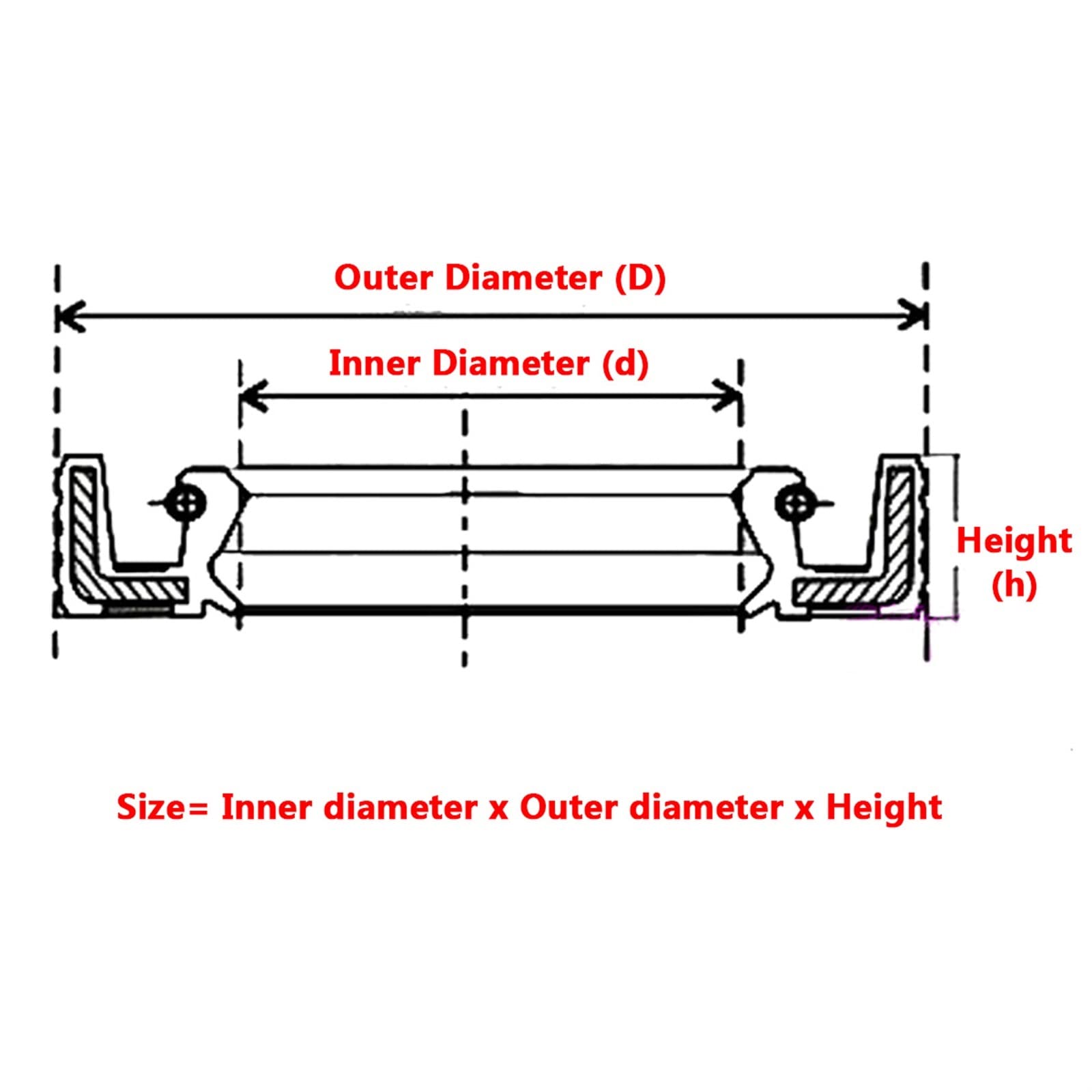 Öldichtung Wellendichtung, 2 Stück TC/FB/TG4 Skelett-Öldichtungsringe, ID 8–19 mm NBR-Doppellippendichtung for Rotationswellendichtungslippe(10x25x10mm)