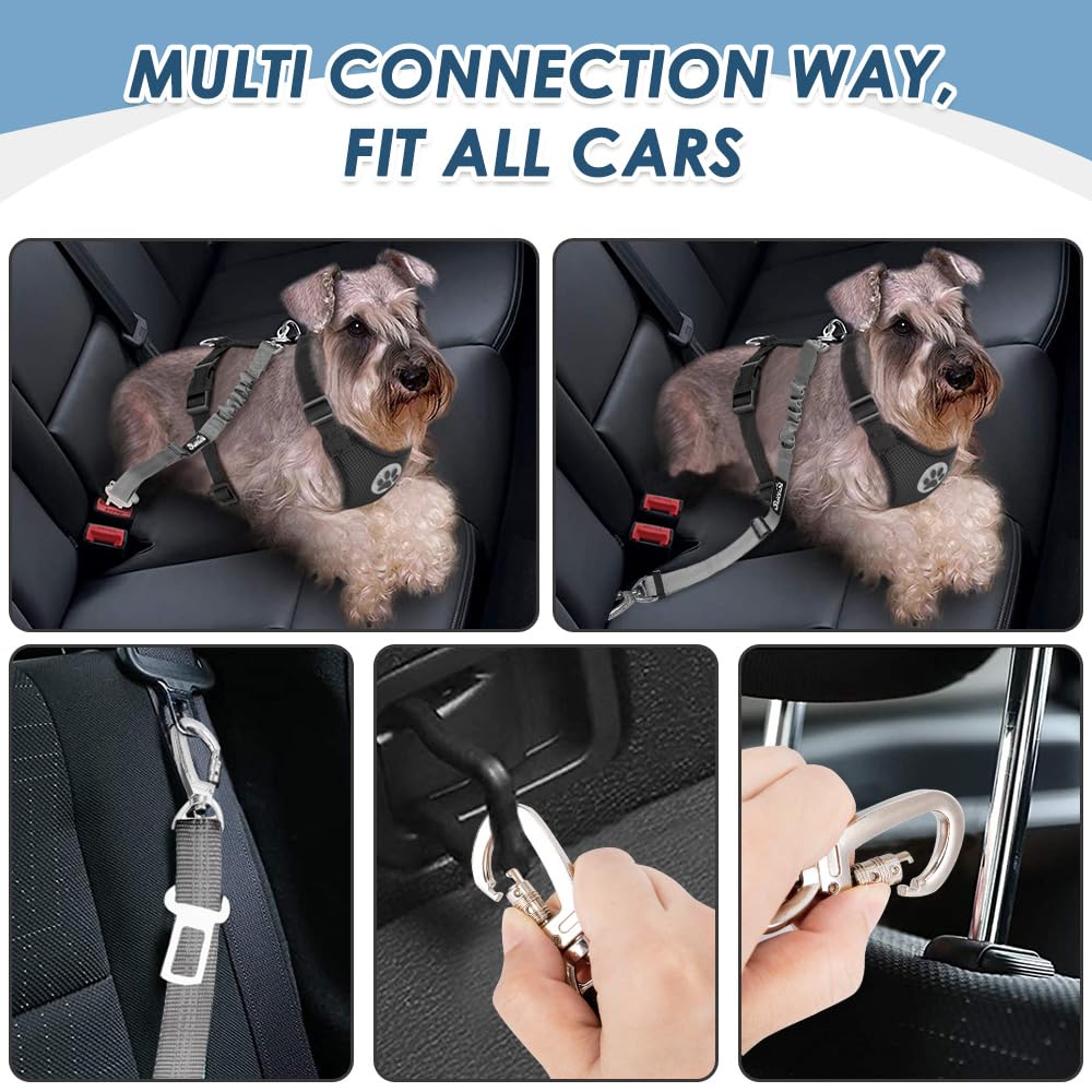 SlowTon Ceinture de sécurité pour Chien, Pack de 2 Ceintures de sécurité pour Chien, Laisse de Voiture élastique réglable, Tampon élastique renforcé, Lien de sécurité réfléchissant Nylon pour Animaux
