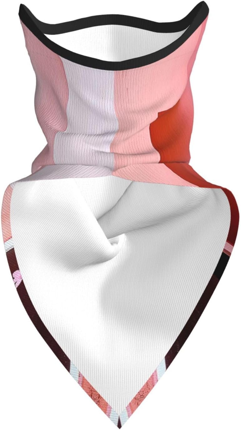Protection Neck Gaiter Face Cover Bright pink and black terrace Balaclava Scarf Mask, Windproof Breathable Sun Shield for Men Women, Skiing Hiking Cycling Outdoor Sports