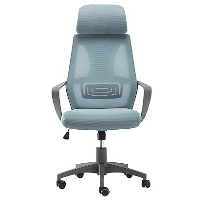 STYLESEAT Executive Director Revolving Ergonomic Nylon Chair with Unique Design and Comfort | 901HG Grey & Blue (901 HG)
