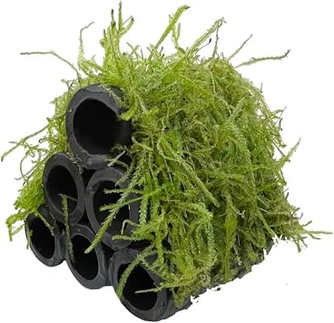 Java Moss Shrimp Shelter