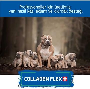 Profesyonel Köpek Yetiştiricileri İçin Patentli İleri Düzey 3' ü 1 Arada Köpek Gelişim Seti | Orijinal ve Resmi