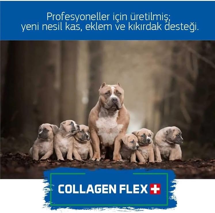 Profesyonel Köpek Yetiştiricileri İçin Patentli İleri Düzey 3' ü 1 Arada Köpek Gelişim Seti | Orijinal ve Resmi