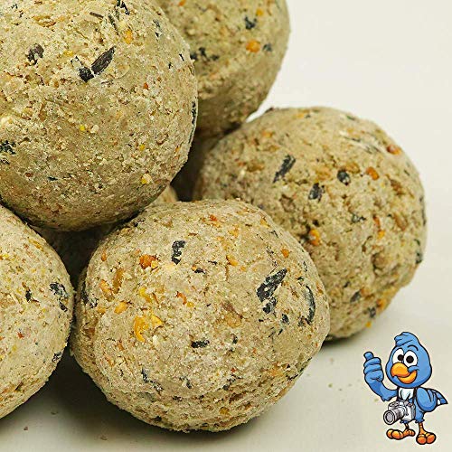 BusyBeaks-Suet-Fat-Balls-Premium-Garden-Wild-Bird-Food-Enhanced-Year-Round-Formula-Naturally-Blended-High-in-Energy-Protein-Rich-Feed-Full-of-Fresh-Nutritious-Fat-Fibre-Moisture-25L-Tub