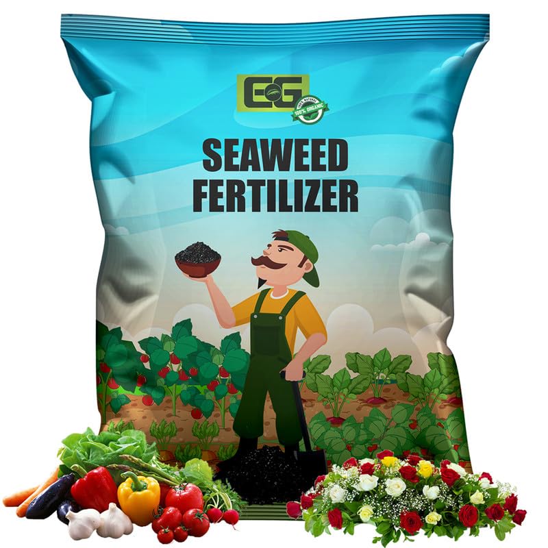 Elamgreen Seaweed fertilizer for plants,organic plant fertilizer for all vegetable,flowering plants,rose plant fertilizer 10kg (B0BNLRM8RN) Amazon Price History, Amazon Price Tracker