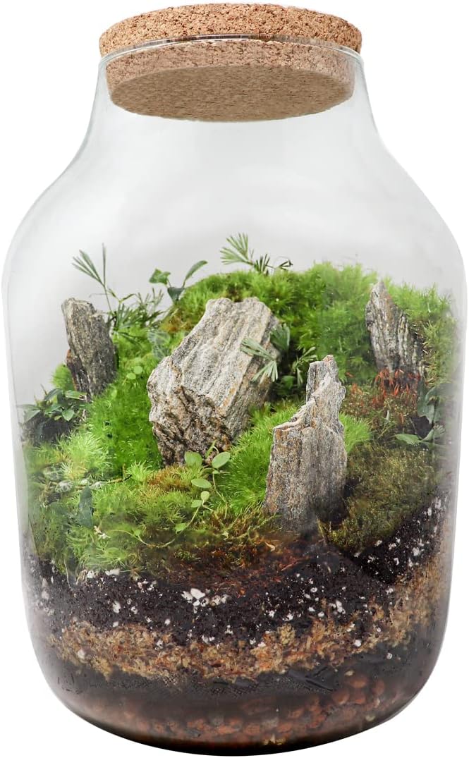 Ecosomnia Terrarium Jar with Lid Large Glass Vivarium for Terrarium