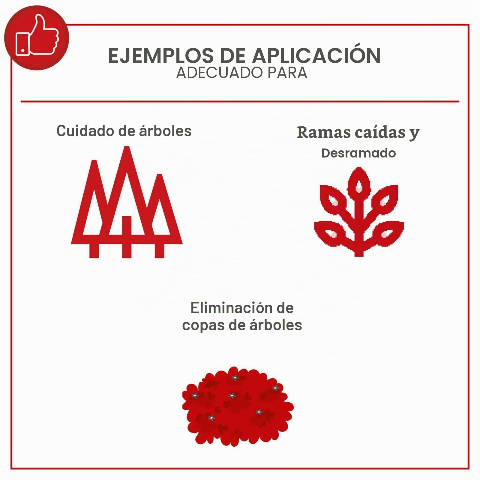 Scheppach Motosierra PCS26 de gasolina con diámetro de corte de 20 cm, motor de gasolina de 2 tiempos, potencia de 0,95 CV, longitud de la espada 25 cm, cilindrada de 25,4 cm³, lubricación automática
