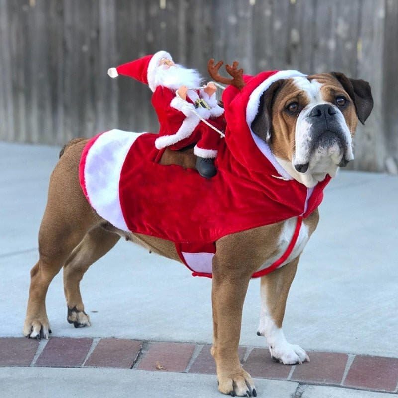 Christmas Dog Santa Cosplay Outfit | Carnival Pet Costumes Apparel - L