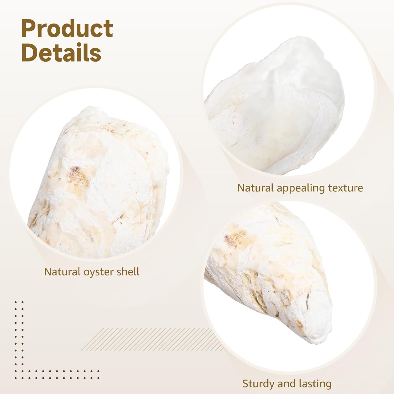 Large Oyster Shells (10), 5~6 in, Natural from North Sea, Craft Decor, DIY