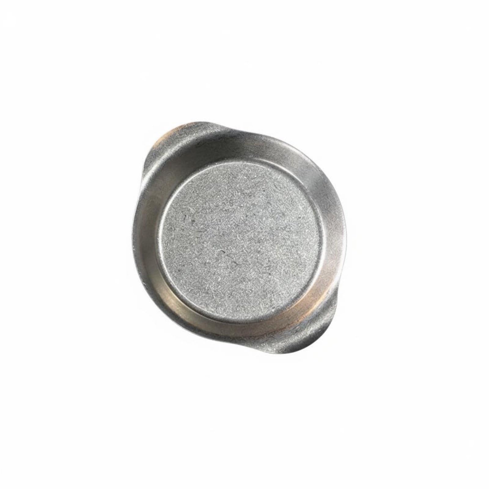 Amazon | Qialexicon ステンレス製プレート 業務用 ステンレス皿 錆び