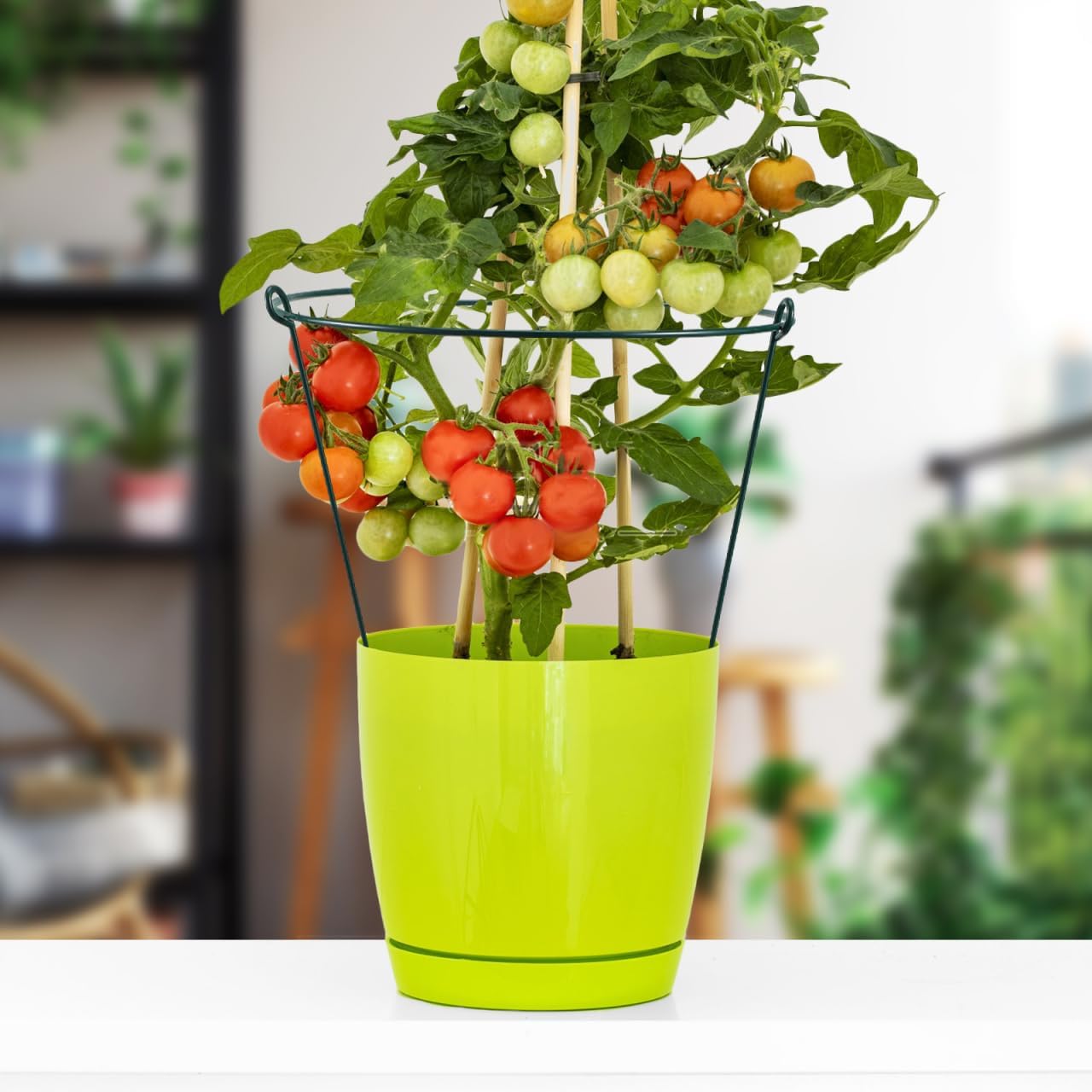 SUPVOX Climbing Support Frame: Green Iron Plant Support Stakes for Indoor and Outdoor Plants Multi-Functional Garden Trellis for Flowers and Vegetables Easy Installation Garden Accessories