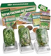 zengreens Set de germoirs Bio avec graines à germer, Plateau de Germination & Cours vidéo - Set ...