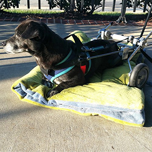 SitGo Dog Pet Wheelchair Revolution (XS)