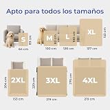 Ver la foto 5