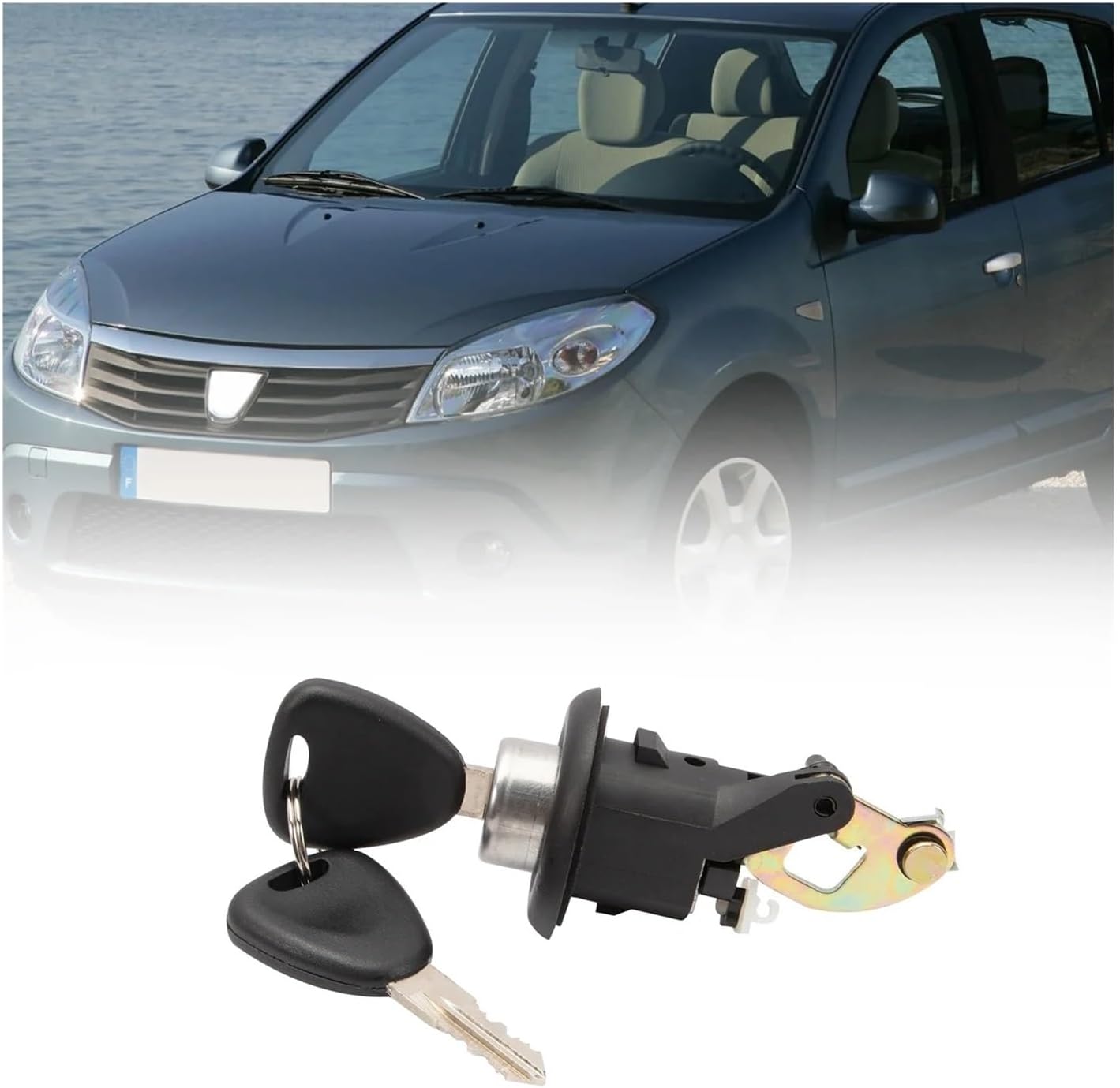 Car Trunk Lock Cylinder Auto Door Lock Cylinder Compatible with Renault 2007-2016 Logan Dacia Sandero 905020198R 905020198