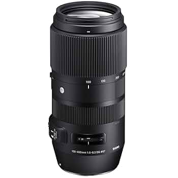 [今月まで出品] SIGMA 100-400mm f5-6.3 SIGMA 100-400mm F5-6.3 DG DN OS Contemporary