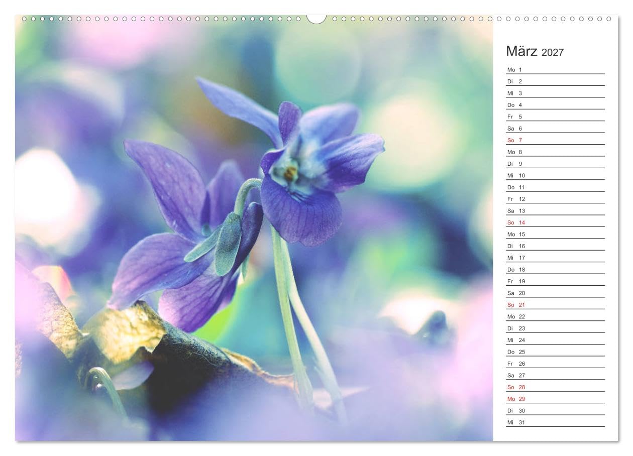 CALVENDO - Blumenfreude Terminkalender (Wandkalender 2027 DIN A2 quer), Monatskalender: Mit wunderschönen bunten Blumen und Blütenbilder durch das Jahr