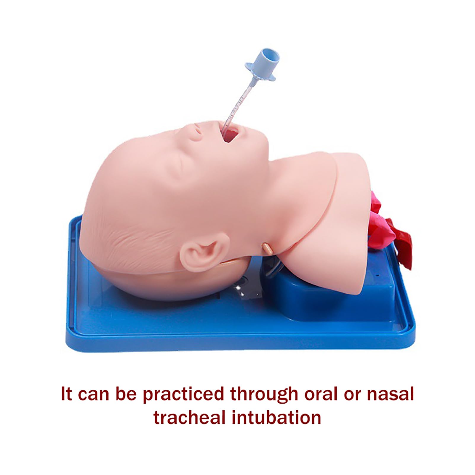 Manikin di intubazione tracheale avanzata, simulatore di intubazione endotracheale, Kit di Assistenza alla Gestione delle Vie aeree pediatriche