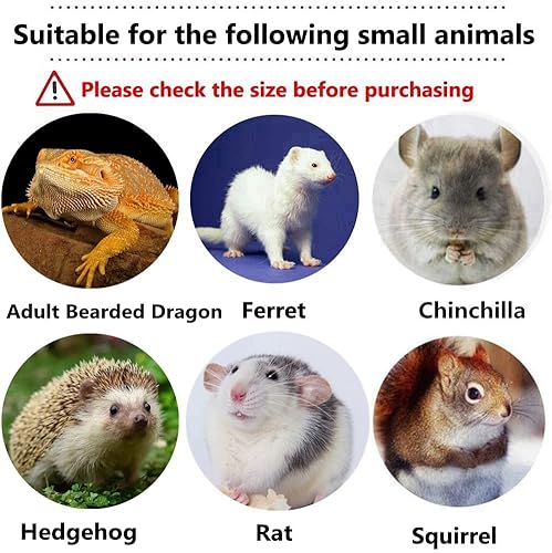 Miniatura 7 de Anillo de baño de 3.74 pulgadas con diseño de lagarto y dragón barbudo, leopardo, Gecko, anillo de baño, anillo de natación para reptil, chaleco