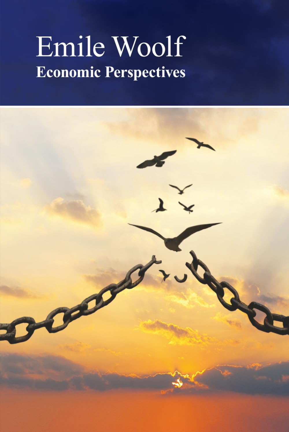 Economic Perspectives: How the state gets it wrong ... again and again!