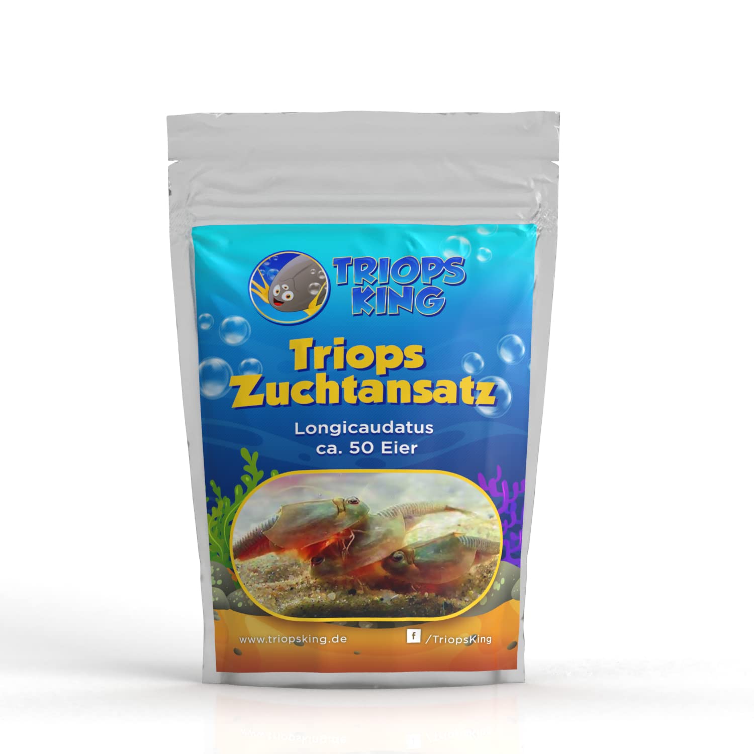 Set per allevamento di Triops longicaudatus, con mangime