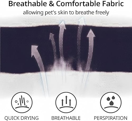 MANON ROSA Cute Dog Clothes Boy Polo Shirt for Small Medium Dogs - Summer Male Puppy T Shirts for Yorkie Poodle Shih Tzu Dachshund Kittens, Striped Collared Pet Doggie Outfits Blue M(Red,X-Large)