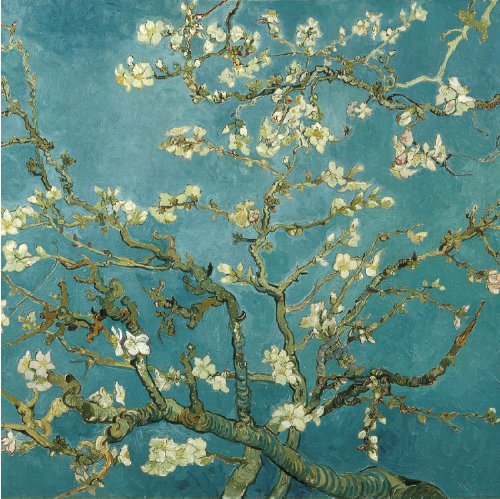 Colour Talk Diy Oil Painting, Paint By Numbers Kit- Worldwide Famous Oil Painting Apricot Blossom By Van Gogh 16X20 Inch #TOP10