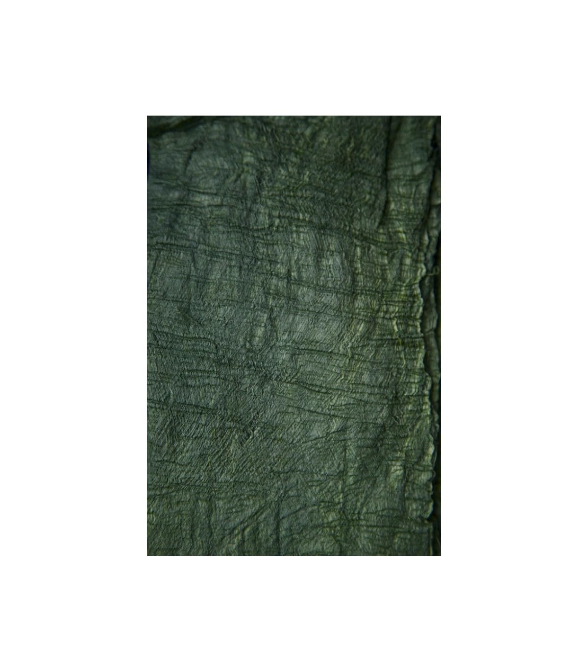 Paperdecoration verde musgo Powertex de 500 g para manualidades y relieve