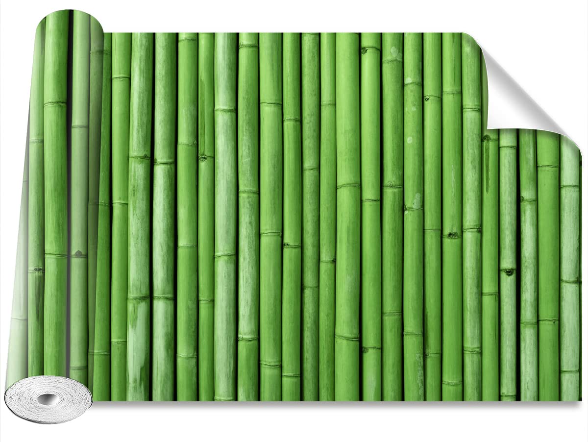 Papier peint moderne bambou vert 416x254cm pour un salon style nature