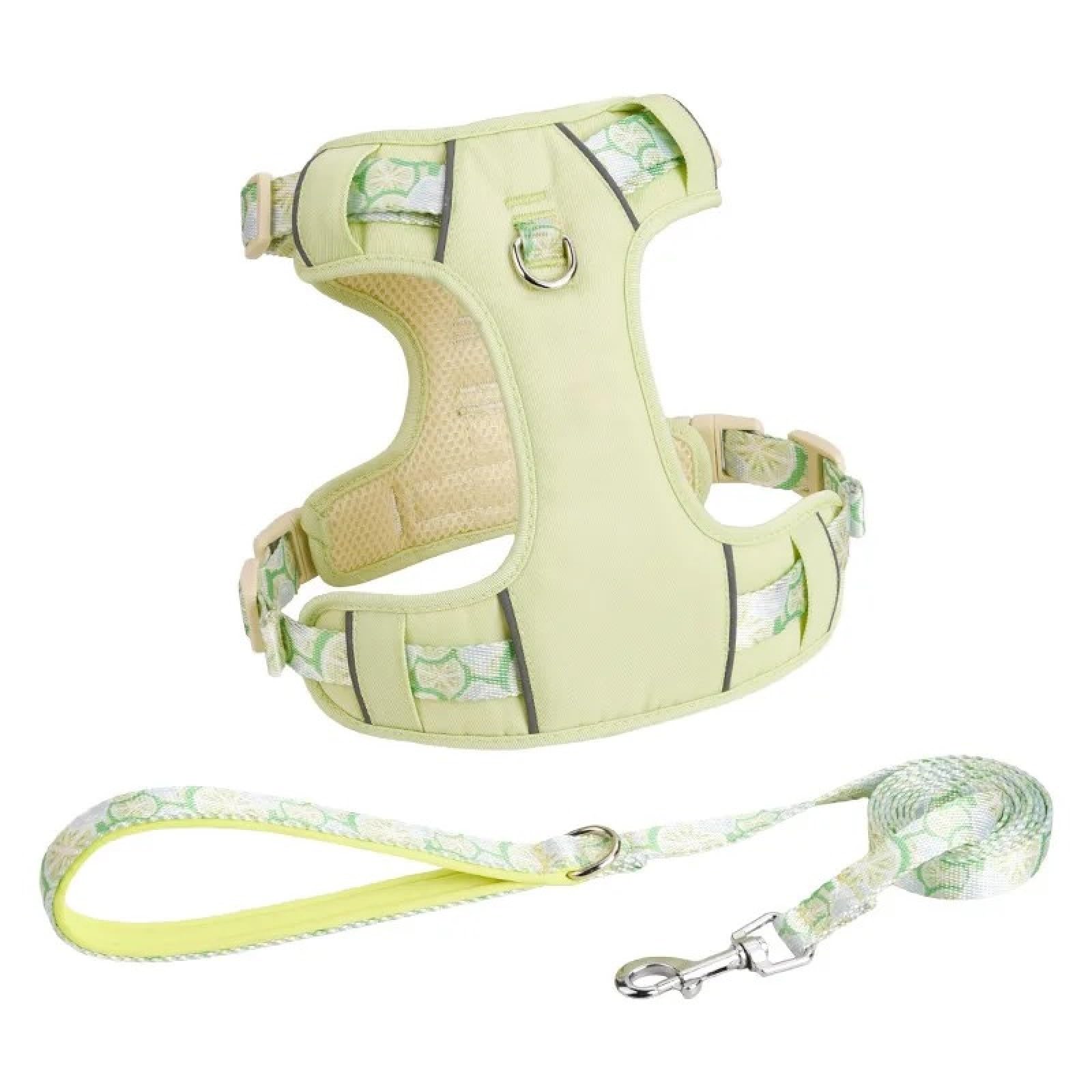 Harnais imperméable pour chien avec laisse ensemble de luxe vert L