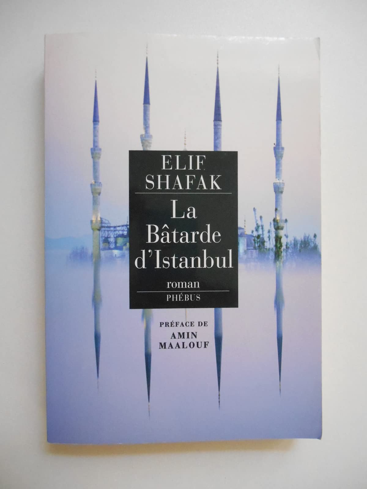 LA BATARDE D ISTANBUL