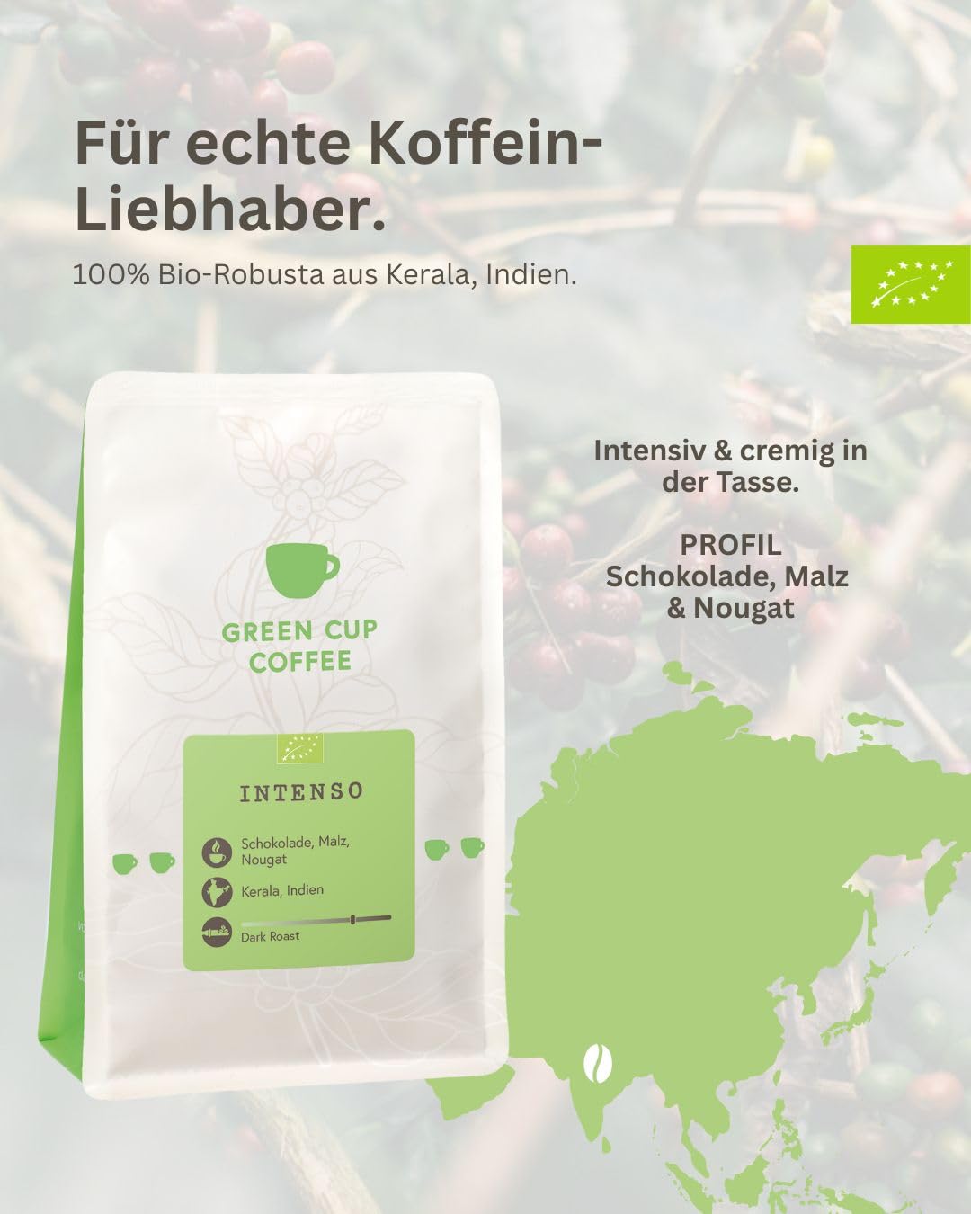 Green Cup Coffee Intenso | Robusta Kaffeebohnen Ganze Bohnen 1 kg | 100% Robusta Single Origin Indien Bio | Dunkle Röstung Schokolade Malz Nougat | Espresso Siebträger Vollautomat