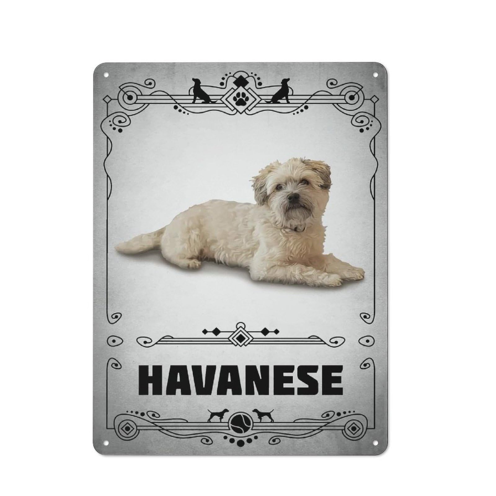 Havanese Decorative Tin Sign 40x30cm, Distressed Look Vintage Wall Decor for Lounge, Study, Pub Or Wall Gallery