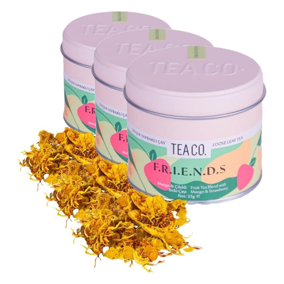 TEA CO. FRIENDS Karışık Meyveli Poşet Çay, Metal Kutu 25 g (3 paketi)