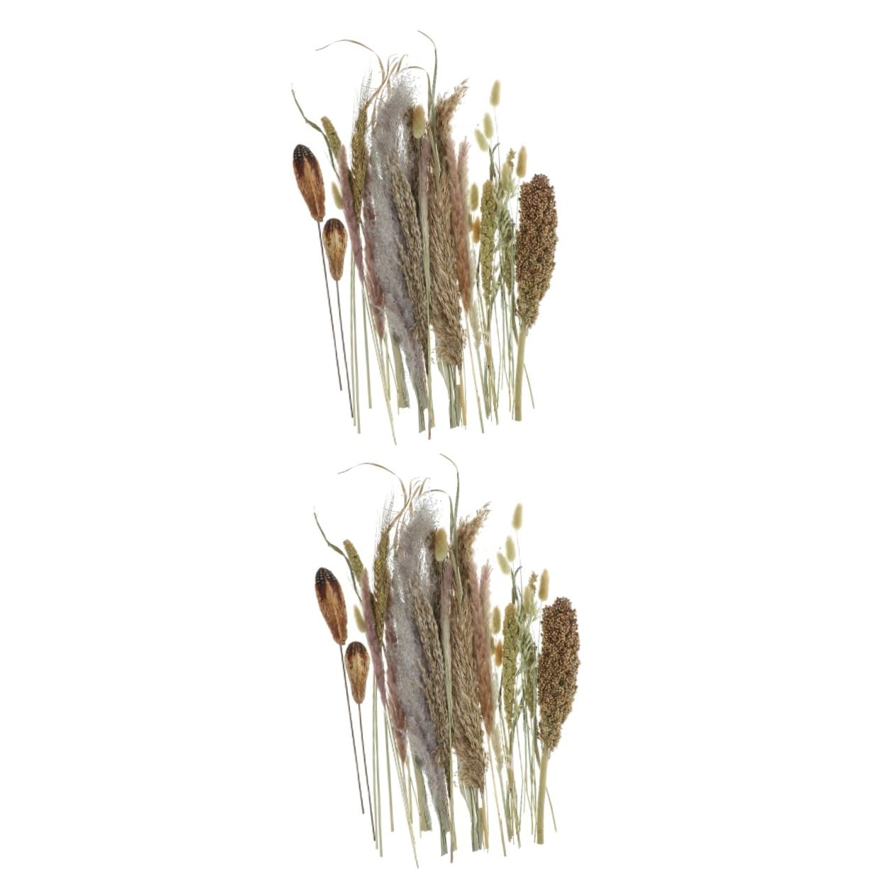 ULTECHNOVO 2stücke Deko-pflanzenstrauß Getrockneten Pampas Und Naturbelassenen Pflanzen Für Boho-Dekoration Hochzeiten Und Kreative Arrangements Bundle