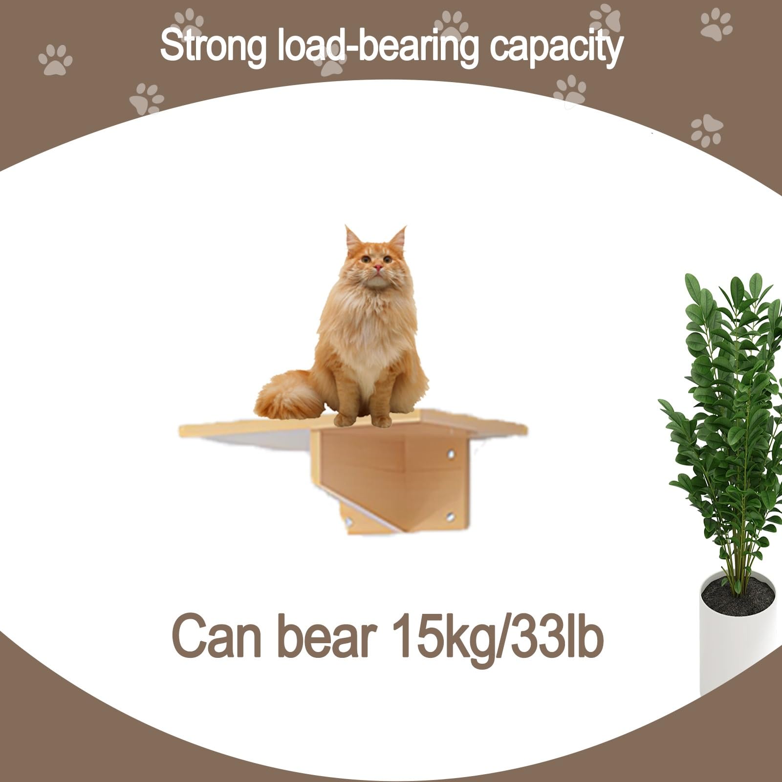 Kletterwand Katzen, Katzenwandregale und -sitzstangen, Massivholz-Kletterregale mit Klettergerüst, Katzenhaus, Kratzbaum, Leiter und Plattform, Raumkapsel(10pcs)