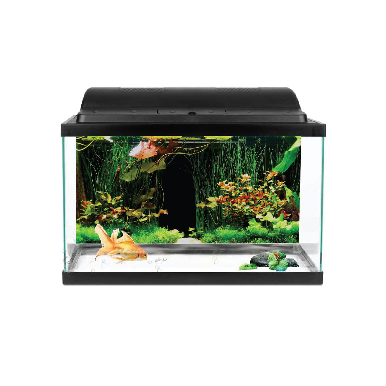 VVWV® Green Plant Aquarium Background Stickers for Fish Tank Waterproof Vinyl Printed Multicolored Sticker (91 X 41 CMS) (B0BWF6YNKC) Amazon Price History, Amazon Price Tracker