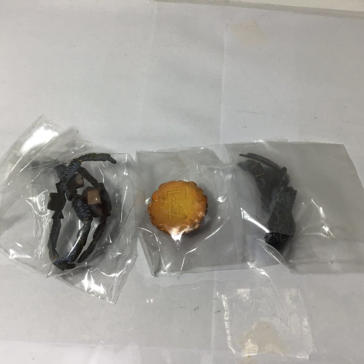 エポック毒のある生物 Amazon | 地球生命紀行 外伝 毒のある生物 The Poison 全9種