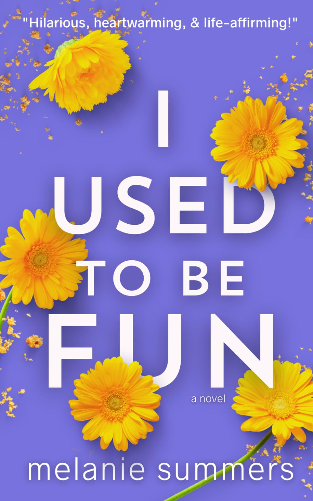 I Used to be Fun