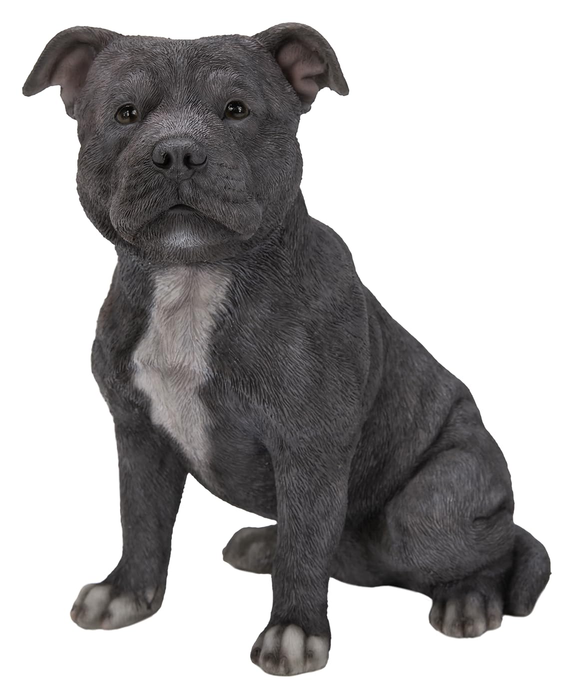 Vivid Arts - Staffordshire Terrier Dog - Blue - XRL-STF6-D