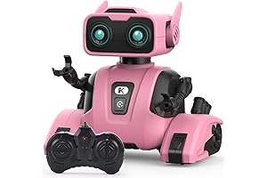 Interactive Robots for Girls