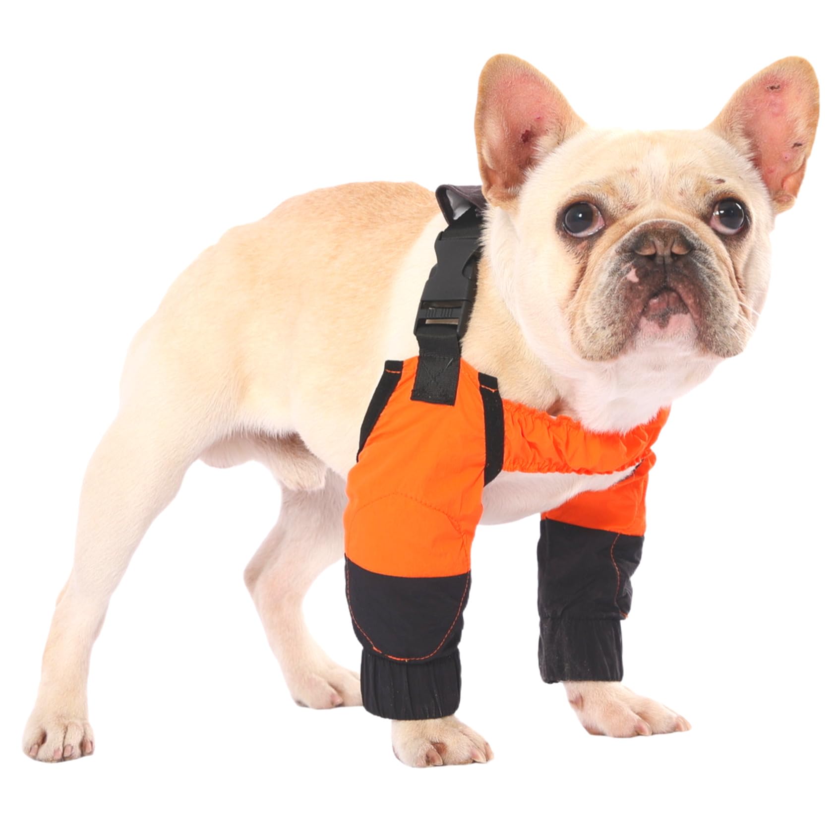 Manchons pour chien imperméables pour balades toutes saisons