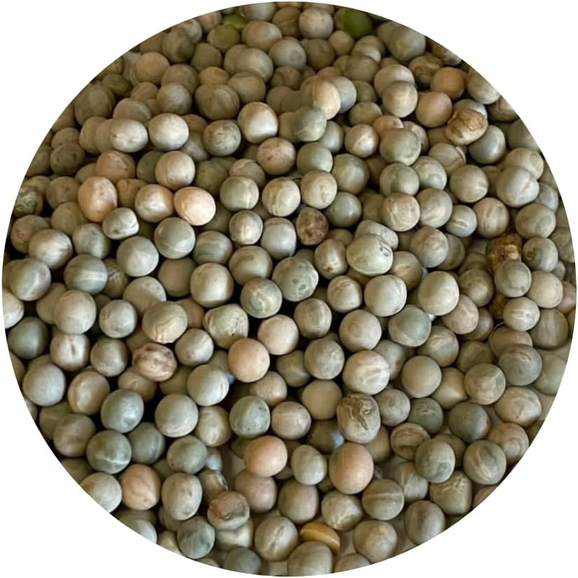 Sprouting Peas | Grow Your Own Fresh Pea Shoots for Salads, Stir-Fries & Garnish | 20kg