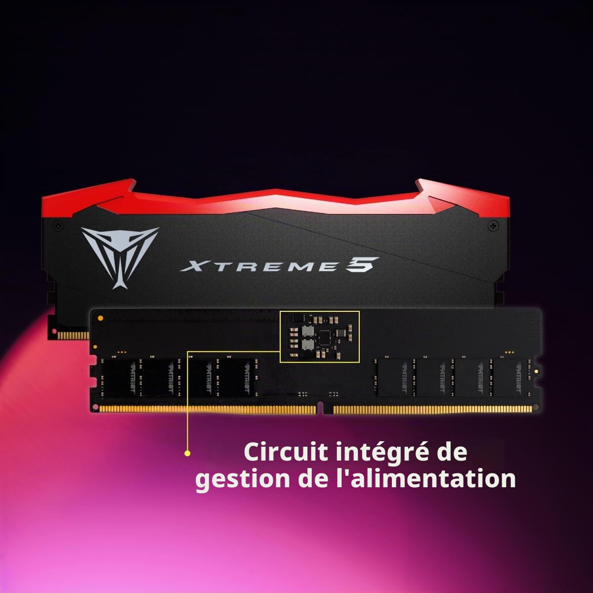 Patriot Viper Xtreme 5 DDR5 RAM Kit mémoire de Jeu de Bureau UDIMM 32 Go (2X16 Go) 8200MT/s CL38 - PVX532G82C38K
