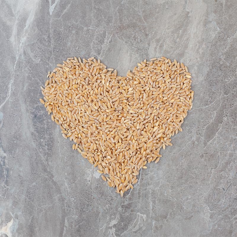 15kg Leinsamen Gold Leinsaat Gelb Musli Backen 15 kg