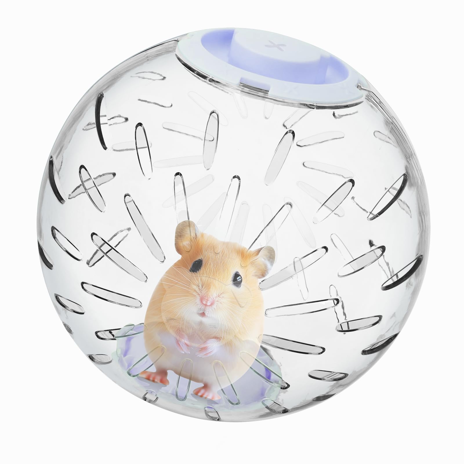 Balle d'exercice pour hamster transparente 20 cm : protégez vos meubles des morsures