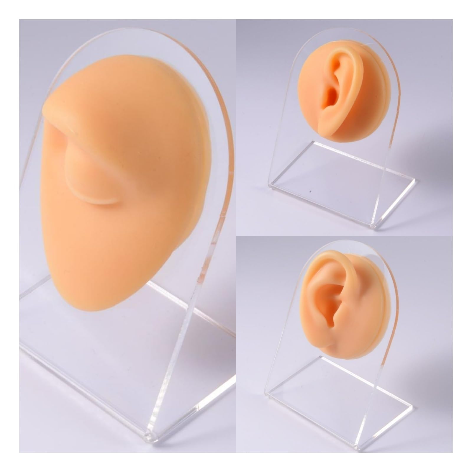 Symulacja Praktyki Nakłuwania Silikonowy Ucho, Nos, Warga, Pępek, Piercing Brwi Model Z Akrylowym Stojakiem(Right Ear)