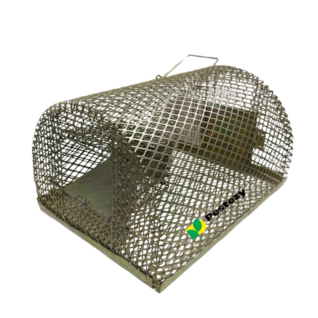 Pestezy Rat Trap|Mouse Trap Cage Large Round Mouse cage |Pinjara for Continuous Catching of Big & Small Rats, Mice Ghoose Big Iron cage Strong & Durable Construction for Home, Office, Warehouse use