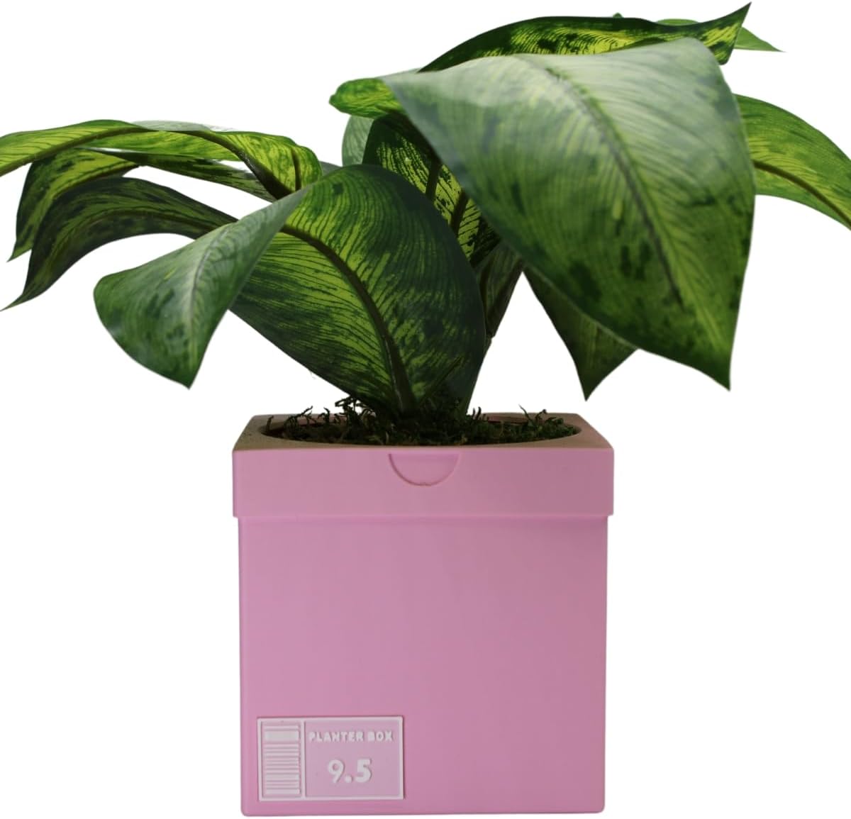 Sneakers Box Planter Pot 3D Printed - Pink Lighter Sneakers Box Decor- Plant Pot for Indoor Plants- Unique Planter for Indoor with Drainage Hole - Made in USA